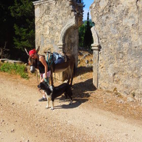 Donkey Trekking