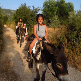 Donkey Trekking