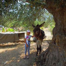 Donkey Trekking