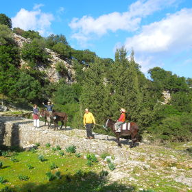 Donkey Trekking