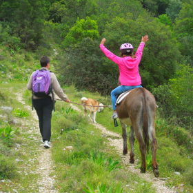 Donkey Trekking