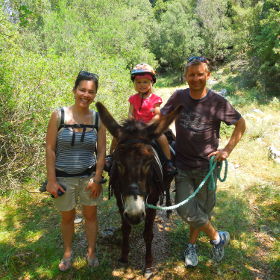 Donkey Trekking